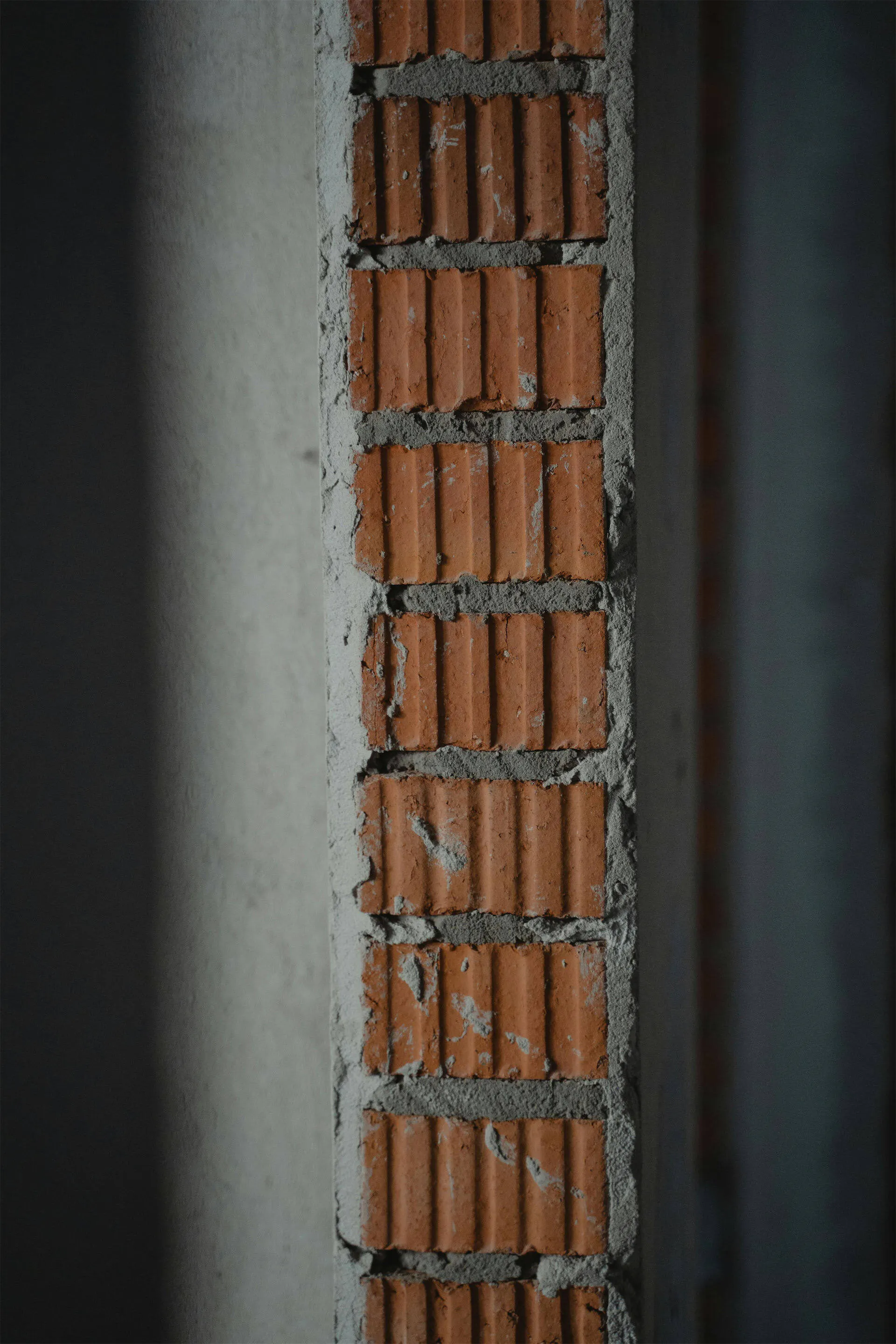 The carbon in a building's structure and materials is often overlooked. We don't overlook it.
